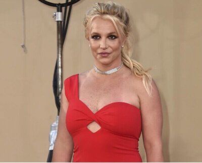 El libro detalla su infancia y su ascenso al estrellato, junto con sus matrimonios, su tutela judicial de casi 14 años e incluso una breve mención de un incidente en julio en el que fue golpeada en la cara