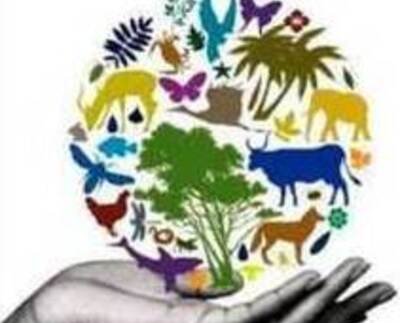 de la UNESCO proclamó el 6 de octubre como Día Internacional de la Geodiversidad con la finalidad de promover y visibilizar la importancia del patrimonio en la humanidad.