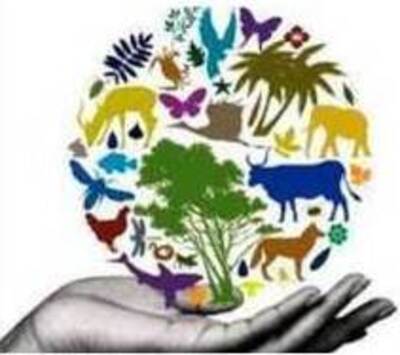 de la UNESCO proclamó el 6 de octubre como Día Internacional de la Geodiversidad con la finalidad de promover y visibilizar la importancia del patrimonio en la humanidad.