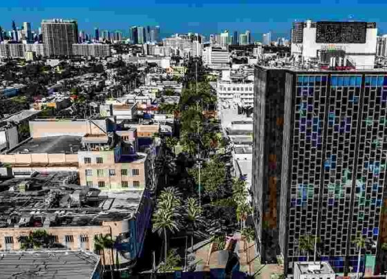 El popular centro comercial al aire libre Lincoln Road de Miami Beach tendrá cinco nuevos inquilinos que inaugurarán locales a finales de octubre.
