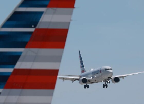 Este grupo de evacuados es el primero de varios que se espera que lleguen en los próximos días a través de vuelos fletados que aterrizarán en el Aeropuerto Internacional de Tampa