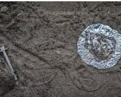 el Departamento de Justicia ha anunciado que ocho empresas y 12 ciudadanos chinos han sido acusados por intentar enviar a territorio estadounidense sustancias químicas para la fabricación de fentanilo