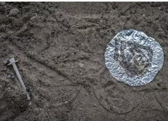 el Departamento de Justicia ha anunciado que ocho empresas y 12 ciudadanos chinos han sido acusados por intentar enviar a territorio estadounidense sustancias químicas para la fabricación de fentanilo