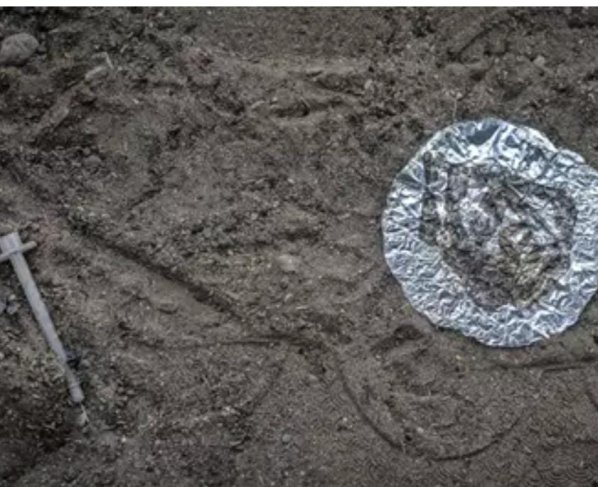 el Departamento de Justicia ha anunciado que ocho empresas y 12 ciudadanos chinos han sido acusados por intentar enviar a territorio estadounidense sustancias químicas para la fabricación de fentanilo