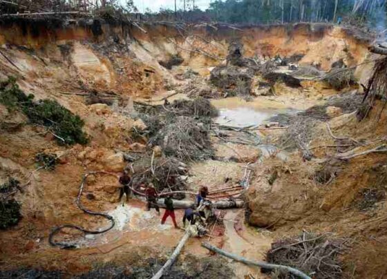 Las recientes sanciones suspendidas por seis meses por el gobierno norteamericano permitirá que continúe el saqueo de esa zona.