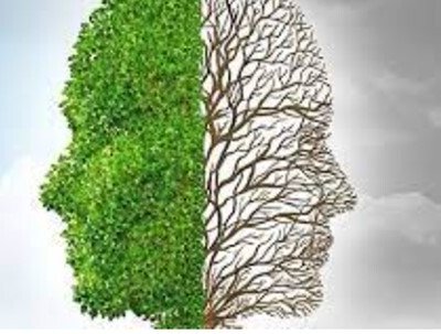 La elección en Ecuador con una campaña supremamente corta deja lecciones importantes para quienes quieran tener éxito en sus contiendas.