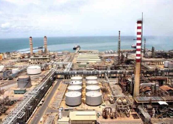 El Vice ministro William Castillo afirmó que habrá más ingresos. Igualmente señaló que hay prohibición para la venta de bonos de PDVSA que están atados a Citgo.