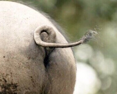 La experiencia resultó demoledora y la falta de legitimidad absoluta no tienen punto de comparación en la historia de Venezuela: ni las más terribles dictaduras del siglo XX se les pueden comparar.