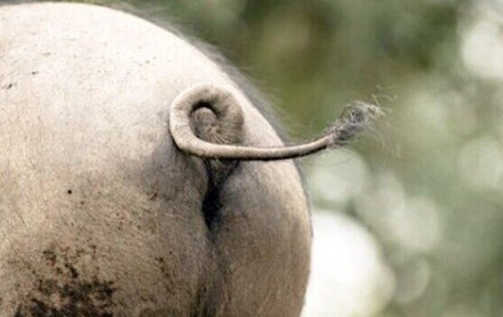 La experiencia resultó demoledora y la falta de legitimidad absoluta no tienen punto de comparación en la historia de Venezuela: ni las más terribles dictaduras del siglo XX se les pueden comparar.