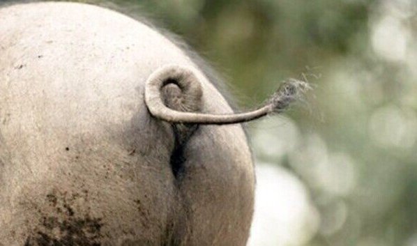 La experiencia resultó demoledora y la falta de legitimidad absoluta no tienen punto de comparación en la historia de Venezuela: ni las más terribles dictaduras del siglo XX se les pueden comparar.