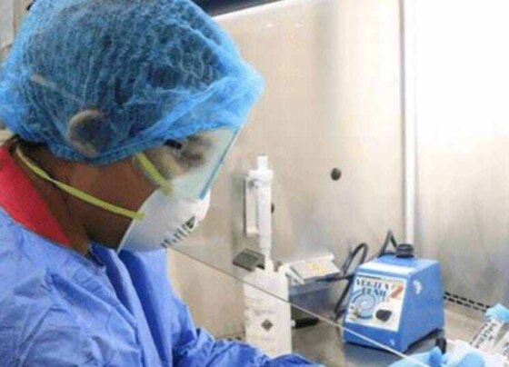 Según el reciente informe anual de la organización sanitaria, en lo que va de año ya se han registrado grandes brotes en al menos nueve países