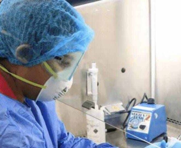 Según el reciente informe anual de la organización sanitaria, en lo que va de año ya se han registrado grandes brotes en al menos nueve países