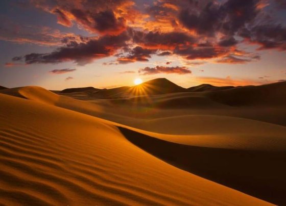 El esplendor de la vegetación en el norte de África pudo ocurrir hace entre 5 mil y 10 mil años de acuerdo con un estudio realizado por científicos de la Universidad de Helsinki.