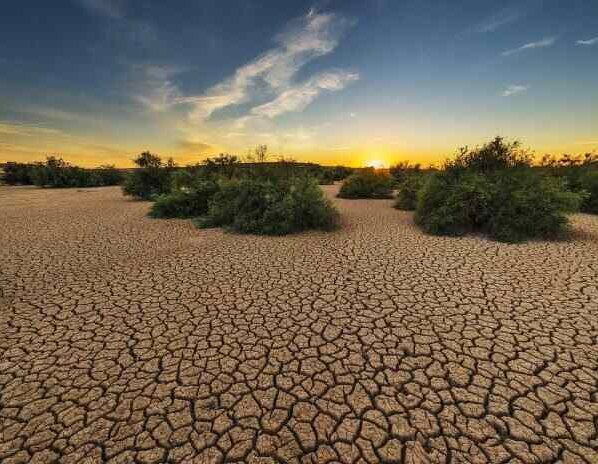 Quiroga dijo que varios factores coincidieron este año: el extremo calentamiento del océano Atlántico, el extremo deshielo del Ártico y el fenómeno de El Niño. Es una combinación terrible.