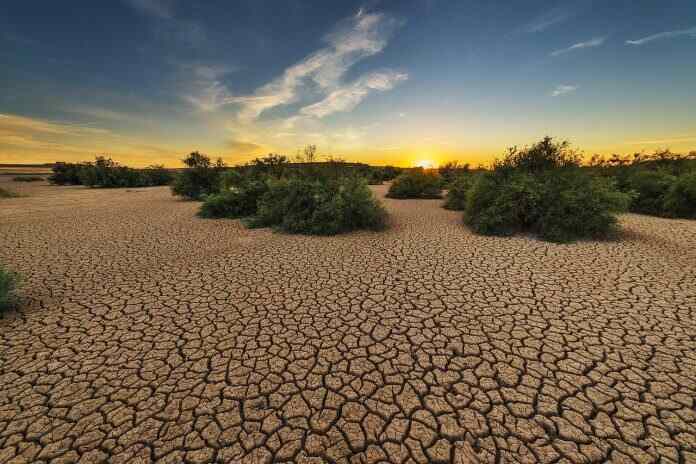 Quiroga dijo que varios factores coincidieron este año: el extremo calentamiento del océano Atlántico, el extremo deshielo del Ártico y el fenómeno de El Niño. Es una combinación terrible.