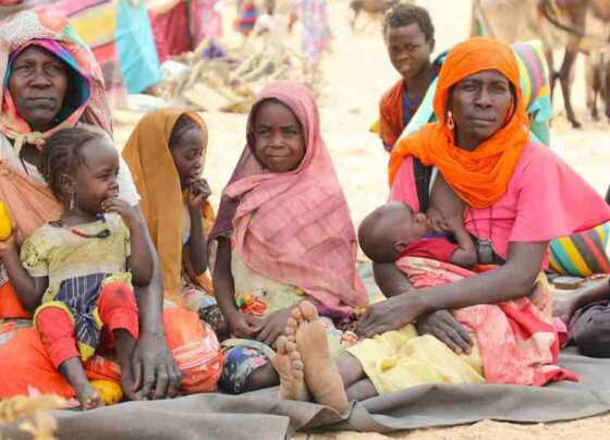 El conflicto que se extiende a casi todo el país ha destruido hospitales, escuelas y otra infraestructura básica, además de generar escasez de alimentos y el desplazamiento masivo de población.