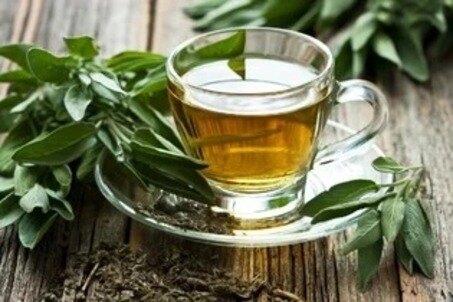 Las hojas de esta planta tienen compuestos antioxidantes y citotóxicos que ayudan a eliminar los radicales libres del organismo