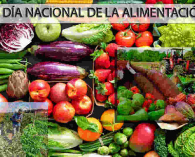 Con motivo de celebrarse este 18 de noviembre el Día Nacional de la Alimentación, la Sociedad Venezolana de Ingenieros Agrónomos considera que se debe mejorar la capacidad nutricional de las personas.