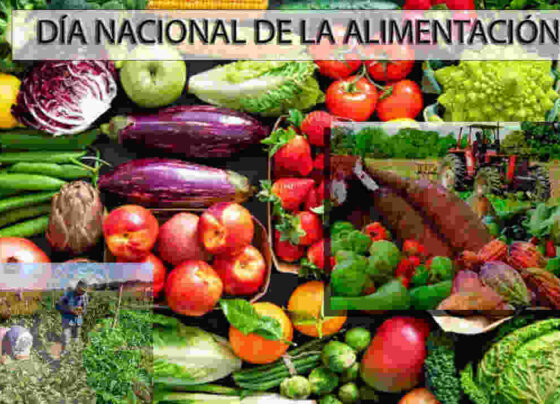 Con motivo de celebrarse este 18 de noviembre el Día Nacional de la Alimentación, la Sociedad Venezolana de Ingenieros Agrónomos considera que se debe mejorar la capacidad nutricional de las personas.