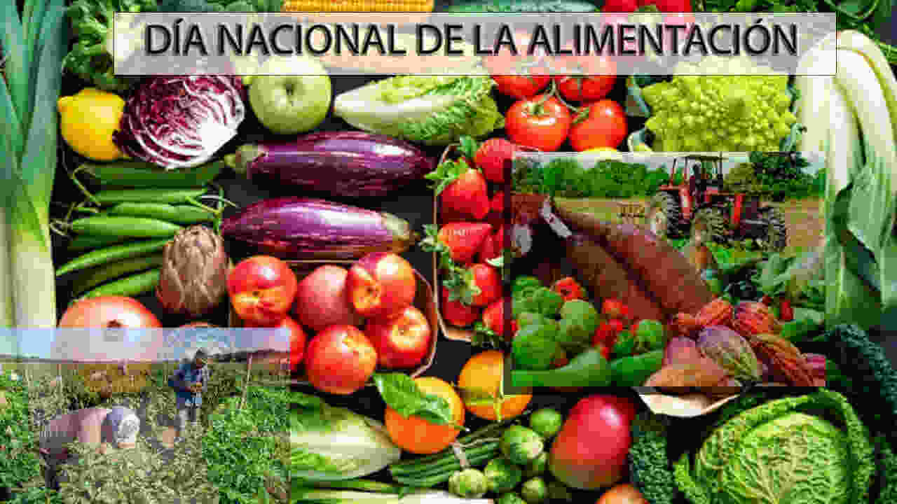 Con motivo de celebrarse este 18 de noviembre el Día Nacional de la Alimentación, la Sociedad Venezolana de Ingenieros Agrónomos considera que se debe mejorar la capacidad nutricional de las personas.