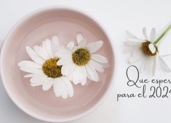 lo primero es estar claro con la vida que deseas, saber cuál tienes HOY y que puedes hacer para acercarte al ideal de vida para ti.