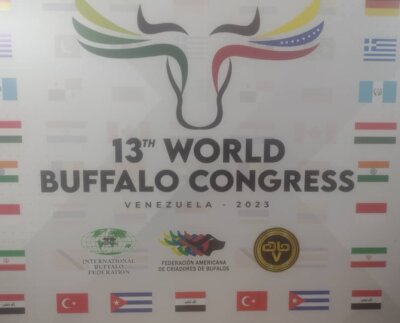 Durante el congreso, los asistentes tuvieron la oportunidad de compartir ideas sobre cómo el búfalo de agua puede ser una parte fundamental de la estrategia global para erradicar el hambre