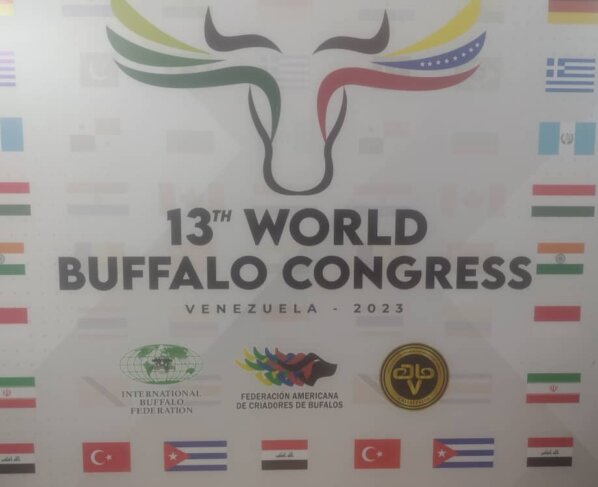 Durante el congreso, los asistentes tuvieron la oportunidad de compartir ideas sobre cómo el búfalo de agua puede ser una parte fundamental de la estrategia global para erradicar el hambre