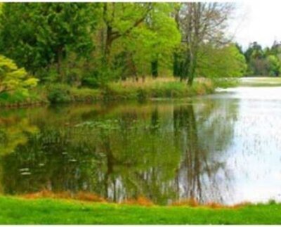 es importante saber qué papel juegan exactamente en nuestro día a día estos conceptos, cómo nos afectan y de qué forma el estudio de los mismos nos ayudan a preservar y a recuperar la salud del planeta.