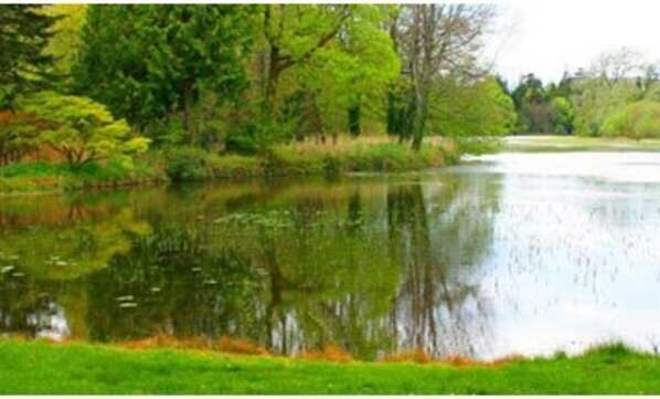 es importante saber qué papel juegan exactamente en nuestro día a día estos conceptos, cómo nos afectan y de qué forma el estudio de los mismos nos ayudan a preservar y a recuperar la salud del planeta.