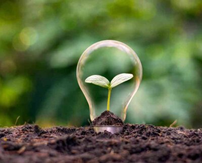 Una tecnología innovadora facilita la revolución de la energía verde y una transición firme lejos de los combustibles fósiles.