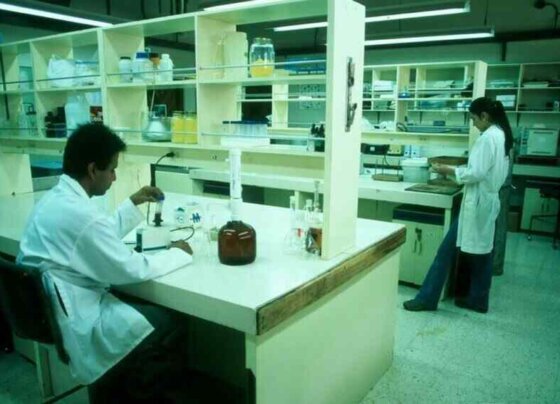 La ONU advirtió que hay un desequilibrio en el financiamiento en investigación y desarrollo la calidad de las investigaciones realizadas en instituciones de América Latina y el Caribe.