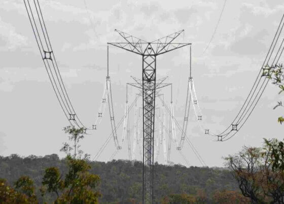 La manifestación más evidente de la falta de incorporación de los conceptos de sostenibilidad al desarrollo de infraestructura es la persistencia de elevadas tasas de deforestación