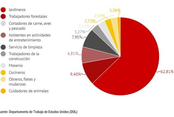 Cada año, Estados Unidos otorga miles de visas H-2 a trabajadores con o sin experiencia (no profesionales y sin un título académico) para trabajar temporalmente en el país.