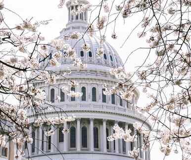 EEUU liberó a Alex Saab a cambio de estadounidenses encarcelados mientras la Casa Blanca se negó a hacer comentarios.