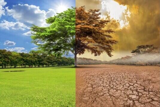 Todo irá a peor, si el mundo no logra reducciones drásticas e inmediatas en las emisiones de gases de efecto invernadero”.