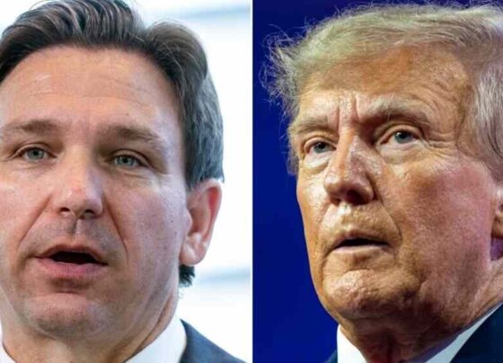 El expresidente Donald Trump se reunió en privado con el gobernador de Florida, Ron DeSantis, lo que marcó una distensión entre los ex rivales