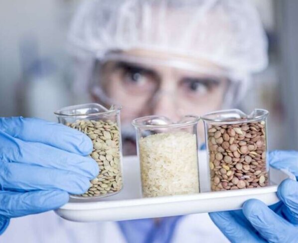 La epigenética es el "estudio de los cambios que activan o inactivan los genes sin cambiar la secuencia del ADN",