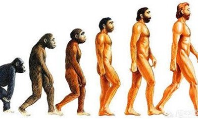 El ser humano no evoluciona solo en su aspecto animal, material y genético. También evoluciona en el aspecto intelectual, mental, cerebral, anímico y espiritual