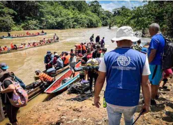 Más de 500 mil personas llegaron este año a Panamá tras atravesar la selva del Darién, una zona selvática que conecta con Colombia y punto de paso recurrente para quienes quieren avanzar hacia Estados Unidos.