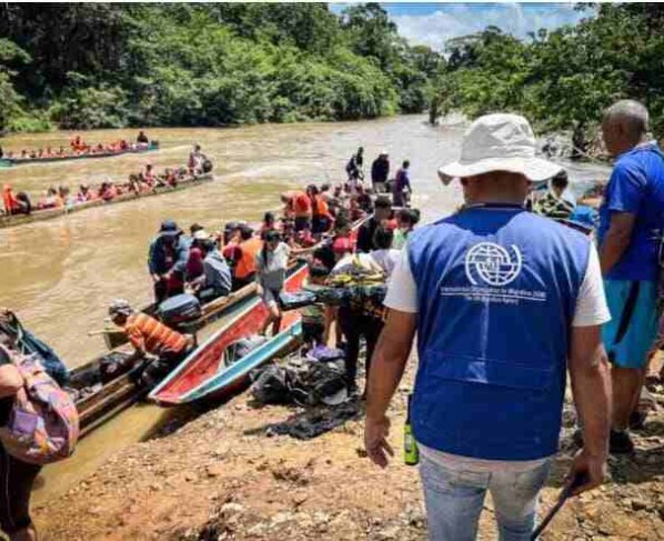 Más de 500 mil personas llegaron este año a Panamá tras atravesar la selva del Darién, una zona selvática que conecta con Colombia y punto de paso recurrente para quienes quieren avanzar hacia Estados Unidos.