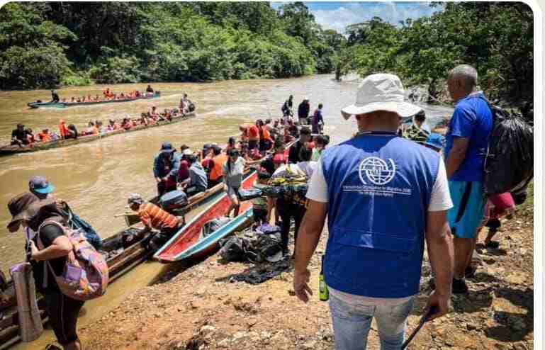 Más de 500 mil personas llegaron este año a Panamá tras atravesar la selva del Darién, una zona selvática que conecta con Colombia y punto de paso recurrente para quienes quieren avanzar hacia Estados Unidos.