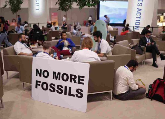 Tan sólo pasó un día desde que inició la COP28 cuando la delegación iraní abandonó las negociaciones climáticas debido a la llegada del presidente israelí, Isaac Herzog.