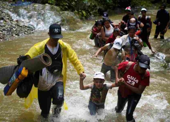 Disminuyó Cifra de migrantes por Darién. Según Samira Gozaine, directora del Servicio Nacional de Migración de Panamá.