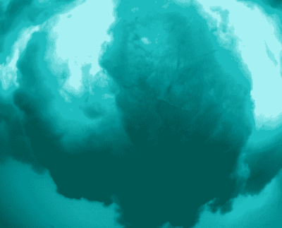 Este año tendremos elecciones en El Salvador, República Dominicana, Panamá, México, Brasil, Uruguay, Chile, EE.UU y quizás en Venezuela.