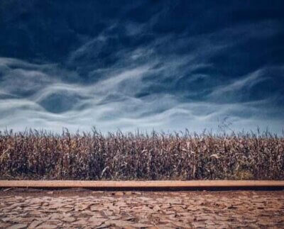 La agricultura y las emisiones perjudican la biodiversidad. La humanidad debe reducir las emisiones de carbono.