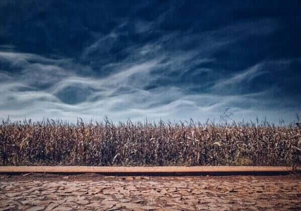 La agricultura y las emisiones perjudican la biodiversidad. La humanidad debe reducir las emisiones de carbono.