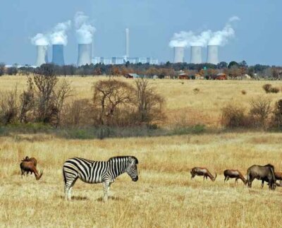 Extracción de combustibles fósiles perjudica el ambiente. Los proyectos de perforación interrumpen la vida silvestre y afectan la salud .