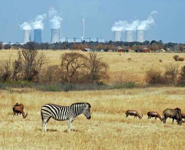 Extracción de combustibles fósiles perjudica el ambiente. Los proyectos de perforación interrumpen la vida silvestre y afectan la salud .