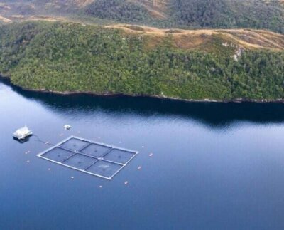 Chile adoptó nuevos requisitos ambientales para el otorgamiento de concesiones en áreas protegidas, entró en vigencia en octubre 2023.