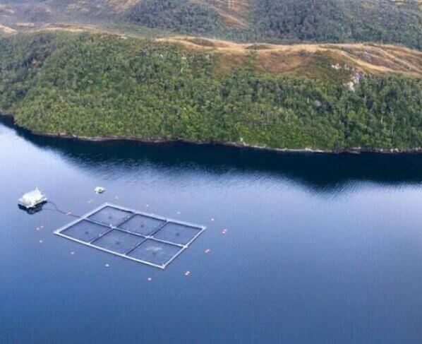 Chile adoptó nuevos requisitos ambientales para el otorgamiento de concesiones en áreas protegidas, entró en vigencia en octubre 2023.